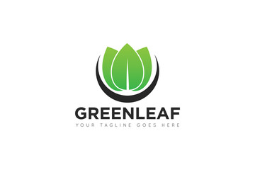leaf logo and icon Vector design Template