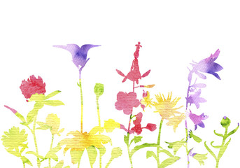 watercolor silhouettes of wild flowers