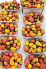 Fresh tomatoes