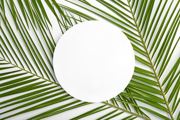 Flat lay composition with tropical date palm leaves on white background