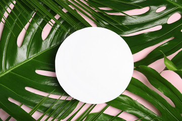 Flat lay composition with tropical leaves on color background