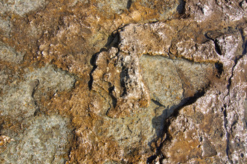 Surface of sea stone, structure, texture. Background