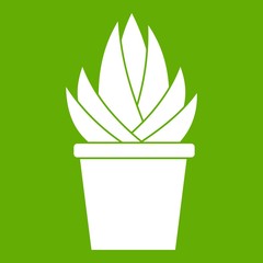 Aloe vera plant icon white isolated on green background. Vector illustration
