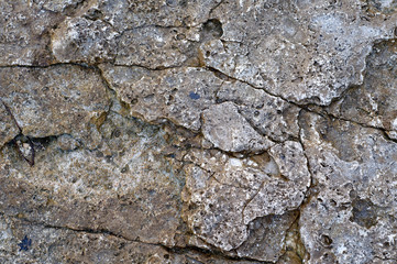 Surface of sea stone, structure, texture. Background