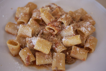 Macaroni pasta with bolognese sauce