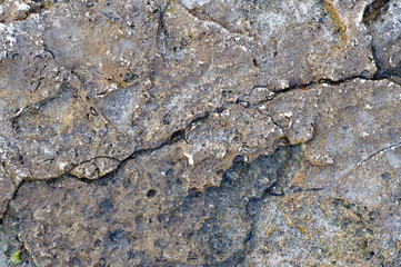 Surface of sea stone, structure, texture. Background