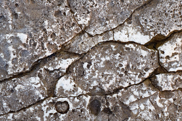 Surface of sea stone, structure, texture. Background