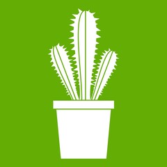 Cactus in flower pot icon white isolated on green background. Vector illustration