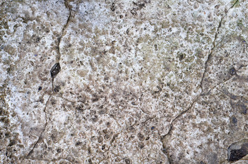 Surface of sea stone, structure, texture. Background