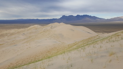 Dry Sand Dune