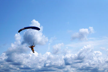 Skydiver under a dark blue little canopy of a parachute on the background a blue sky and clouds,...