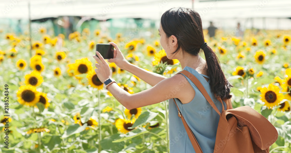 Sticker woman taking photo on sunflower farm