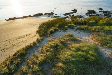Sandy dunes of the Northern Portugal coast
