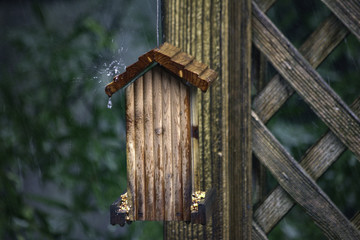 Bird house in rain