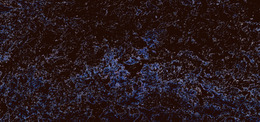 The background is dark brown with blue. The abstraction of the night sky