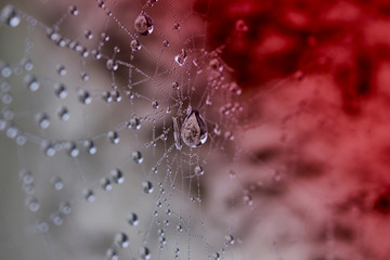 Rouge diamant