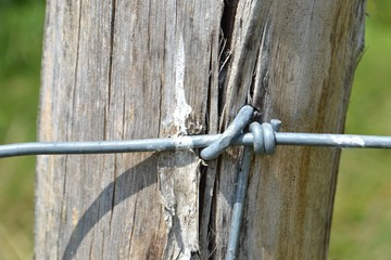 Closeup photograph of a steel wire in a fence attached to a wooden pole.