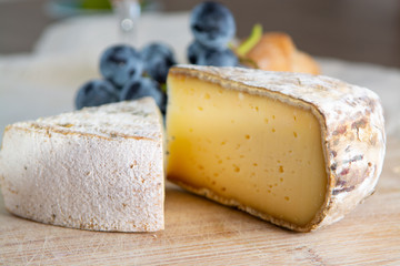 French hard cow or goat cheese Tomme or Tome, produced in French Alps