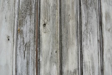 Fototapeta premium Closeup photograph of a weathered wooden wall. White paint has partially faded.