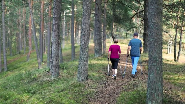 active seniors doing nordic walking in the woods