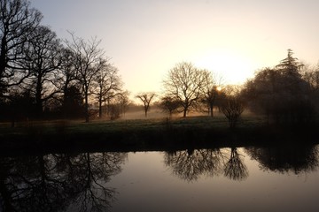 early morning dog walk 