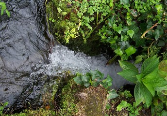 Paisagem das Furnas, São Miguel, Açores, Portugal
