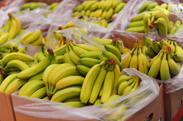 Ripe bananas on boxes in supermarket © katjabakurova