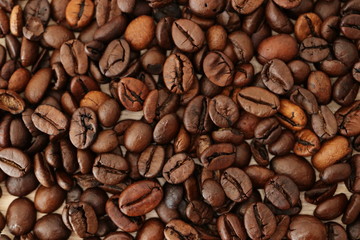 frisch geröstete Kaffeebohnen