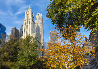 Obraz premium New York City Manhattan in autumn with skyscrapers and colorful trees