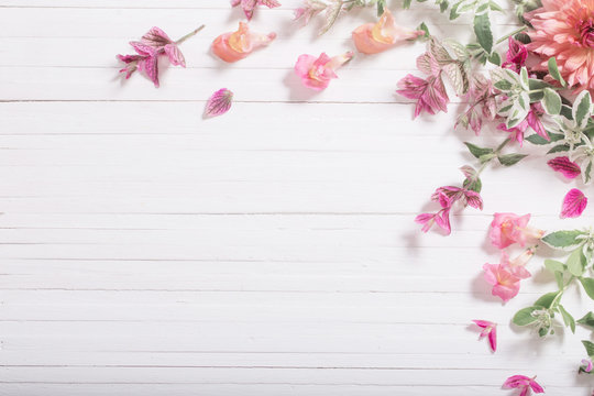 beautiful flowers on white wooden background