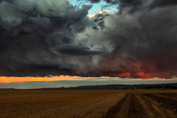 Obraz na płótnie Canvas Dramatic thundercloud over a wheat field