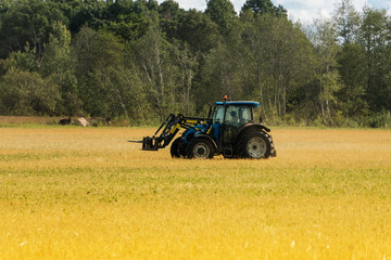 Agricultural loader rides to transport stacks of hay on the farm