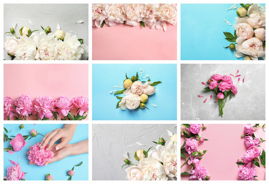 Set with beautiful peony flowers as background