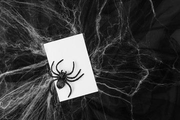 Blank card with Spider web over black background. Halloween concept.