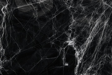 Spider web over black background. Halloween concept.