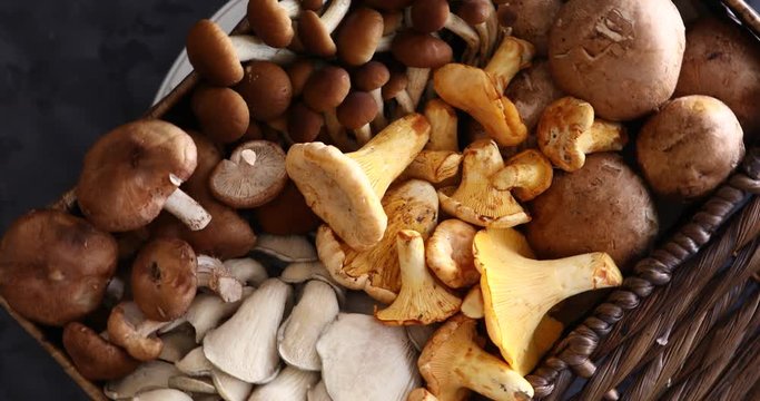 Top view of variety of uncooked wild forest mushrooms in a wicker basket on a black background, Rotation 360. Mushrooms chanterelles, honey agarics, oyster mushrooms, champignons, portobello, shiitake
