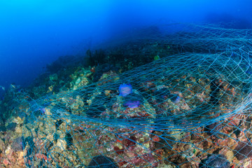 A large abandoned fishing net wrapped and entangled on corals on a tropical reef in Myanmar