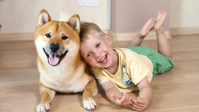 Laughing little baby boy with his best friend Shiba Inu dog playing with at home and hugging