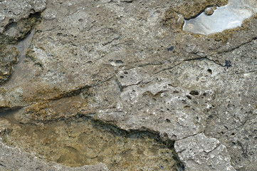 Surface of sea stone, structure, texture. Background