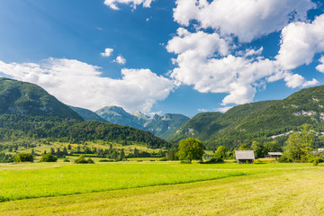 Pasture meadow in Slovenia. Green grass, pasture house and Julian alps in background. Blue sky in summer. Triglav national park