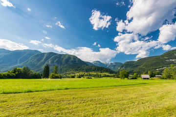 Pasture meadow in Slovenia. Green grass, pasture house and Julian alps in background. Blue sky in summer. Triglav national park