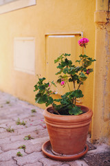 In The Streets Of Villefranche-Sur-Mer, France