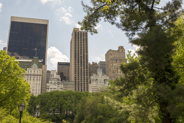 Obraz na płótnie Canvas new york city skyline from central park