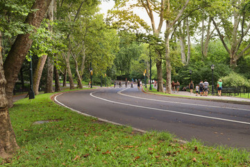 Central Park