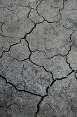 Cracked Earth Surface. Soil. Drought