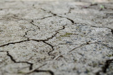 Cracked Earth Surface. Soil. Drought