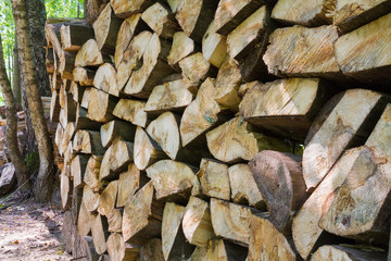 Large woodpile of firewood.