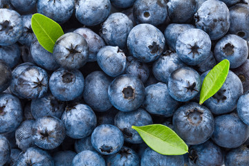 blueberry, full depth of field, high quality