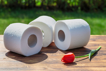 Three rolls of toilet paper on a background of lush greenery