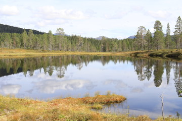 Reflection in a lake